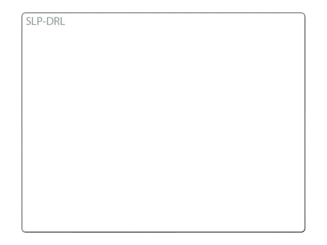 Seiko Instruments SLP-DRL - Wit