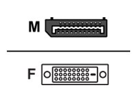 Fujitsu - DisplayPort kabel